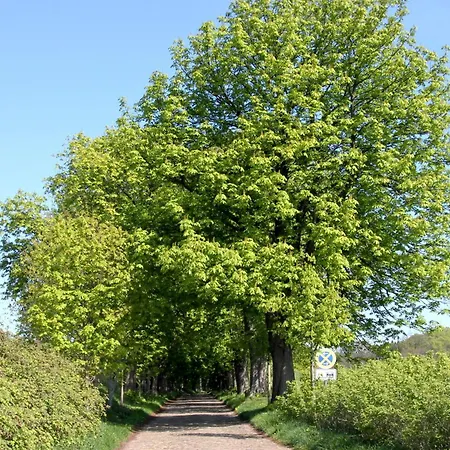 Meernixe Nr 10 Apartment